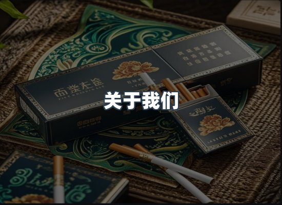 关于我们